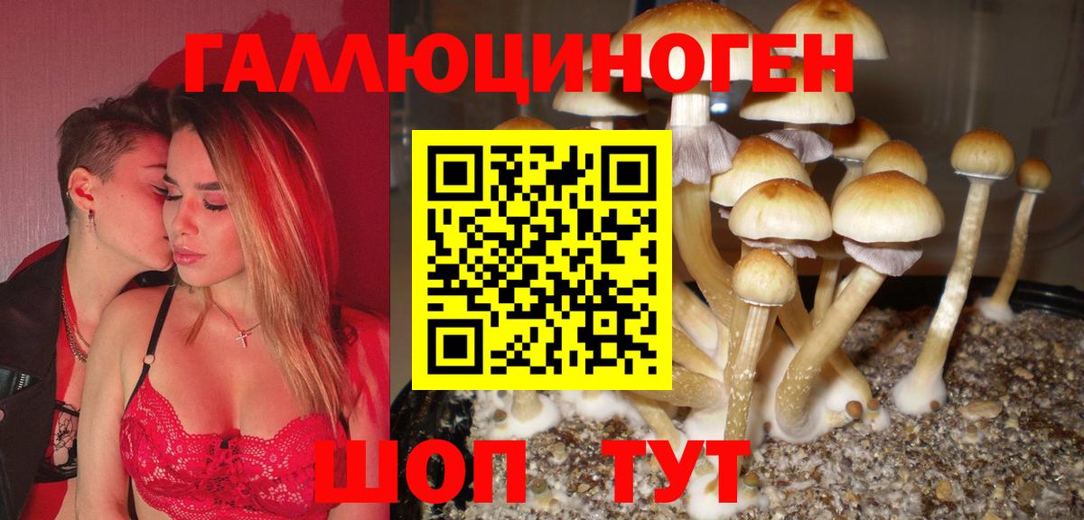 Галлюциногенные грибы Psilocybine cubensis  Вход с VPN  Приморско-Ахтарск 